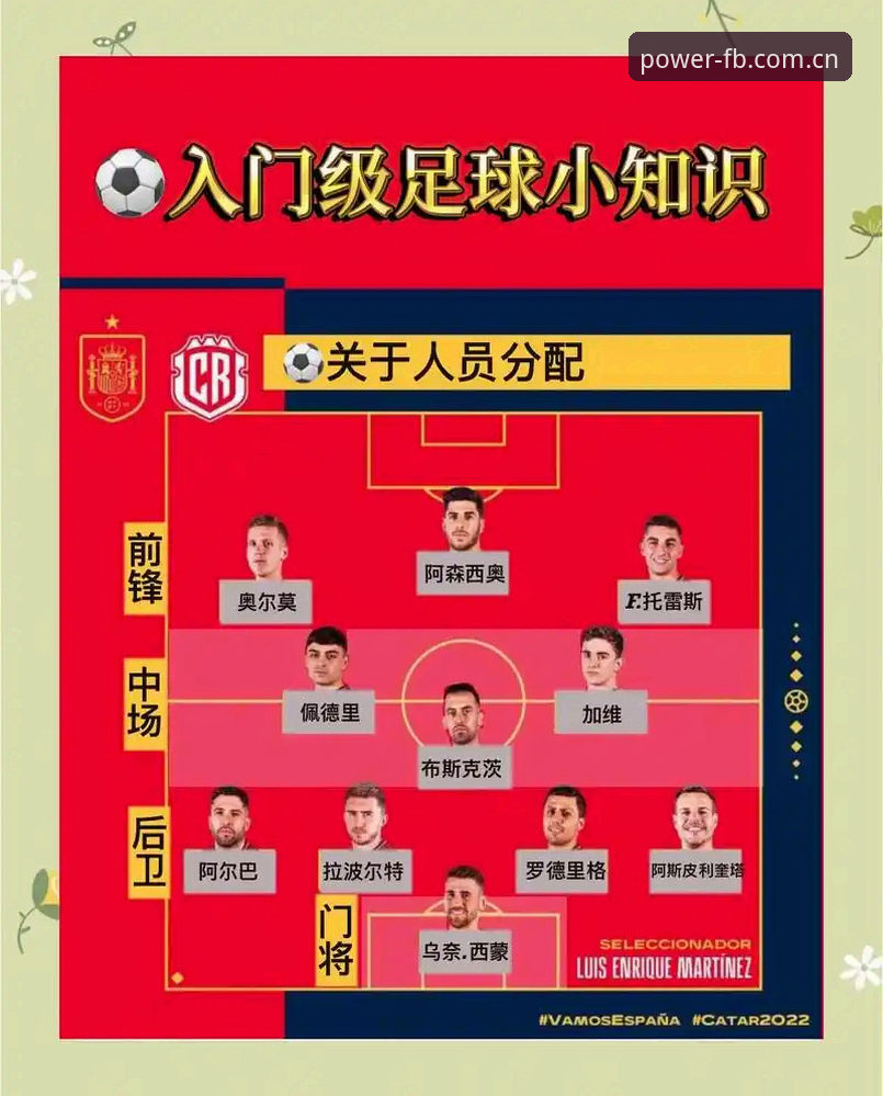FB体育赛事数据 FB体育赛事数据新手教程:从查分数到看盘口的完整操作指南