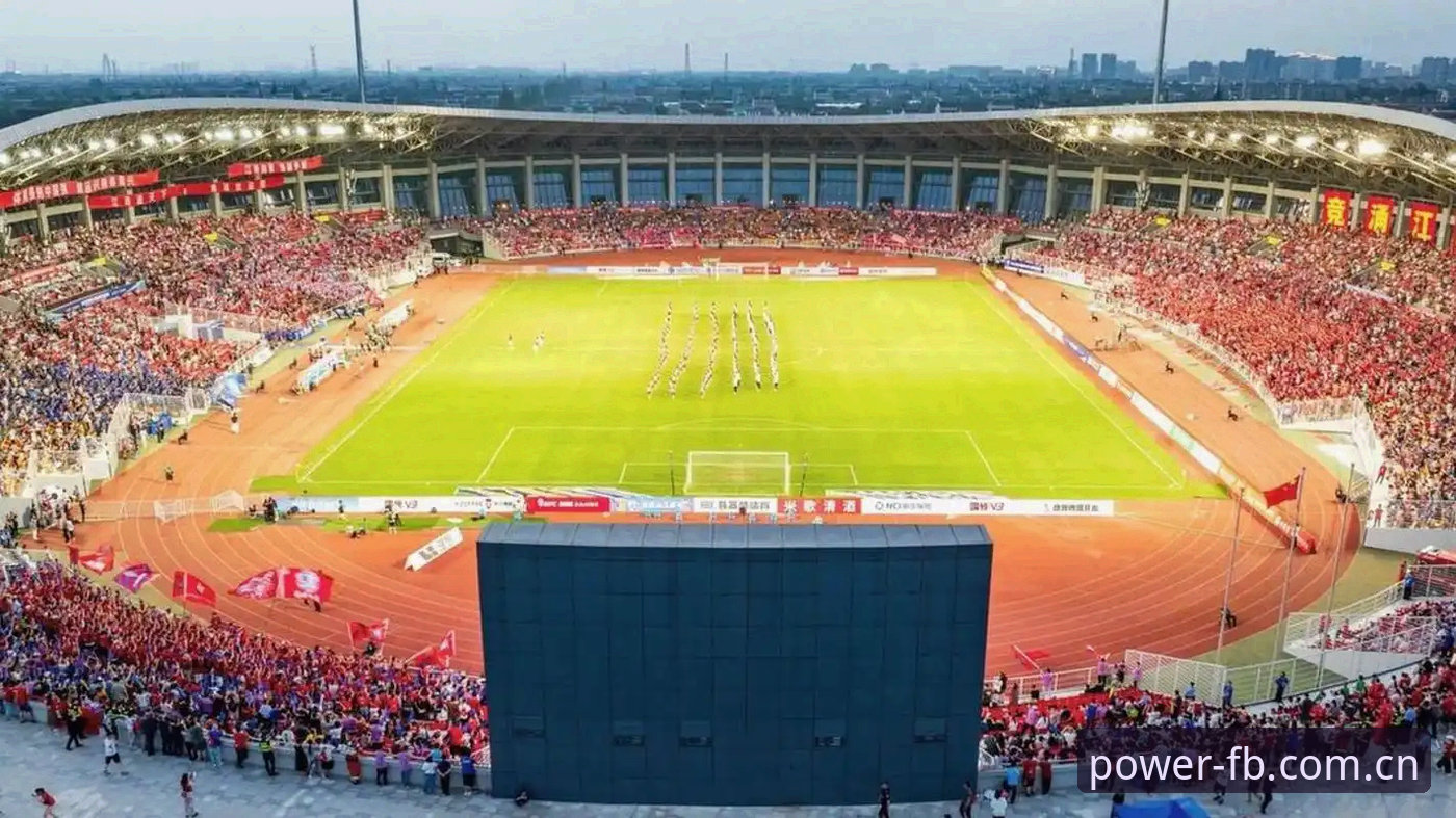 辽宁铁人夏窗换血深度分析：瓦吉奇离队背后的战术暗线与本土后腰布局